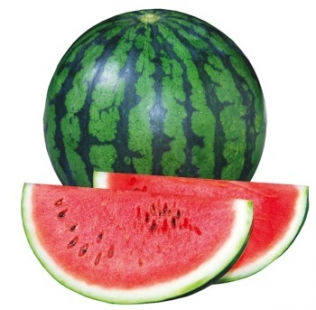 p1 t65 303 11 b8na4z77